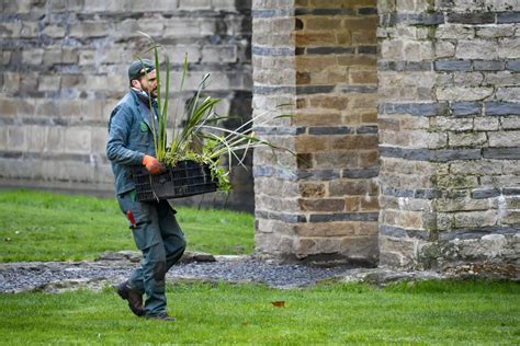 Le Jardin des Plantes: Un Oasis de Biodiversité au Cœur Vibrant de Tours!